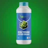 1Lt Organik Deniz Yosunu Ekstraktı