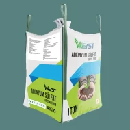 1 Ton Amonyum Sülfat – Kristal Form - Görsel 2